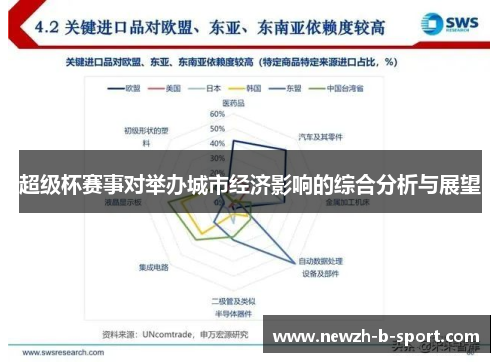 超级杯赛事对举办城市经济影响的综合分析与展望