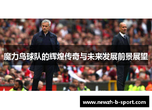 魔力鸟球队的辉煌传奇与未来发展前景展望