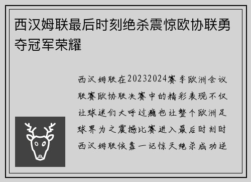 西汉姆联最后时刻绝杀震惊欧协联勇夺冠军荣耀 西汉姆联最后时刻绝杀震惊欧协联勇夺冠军荣耀